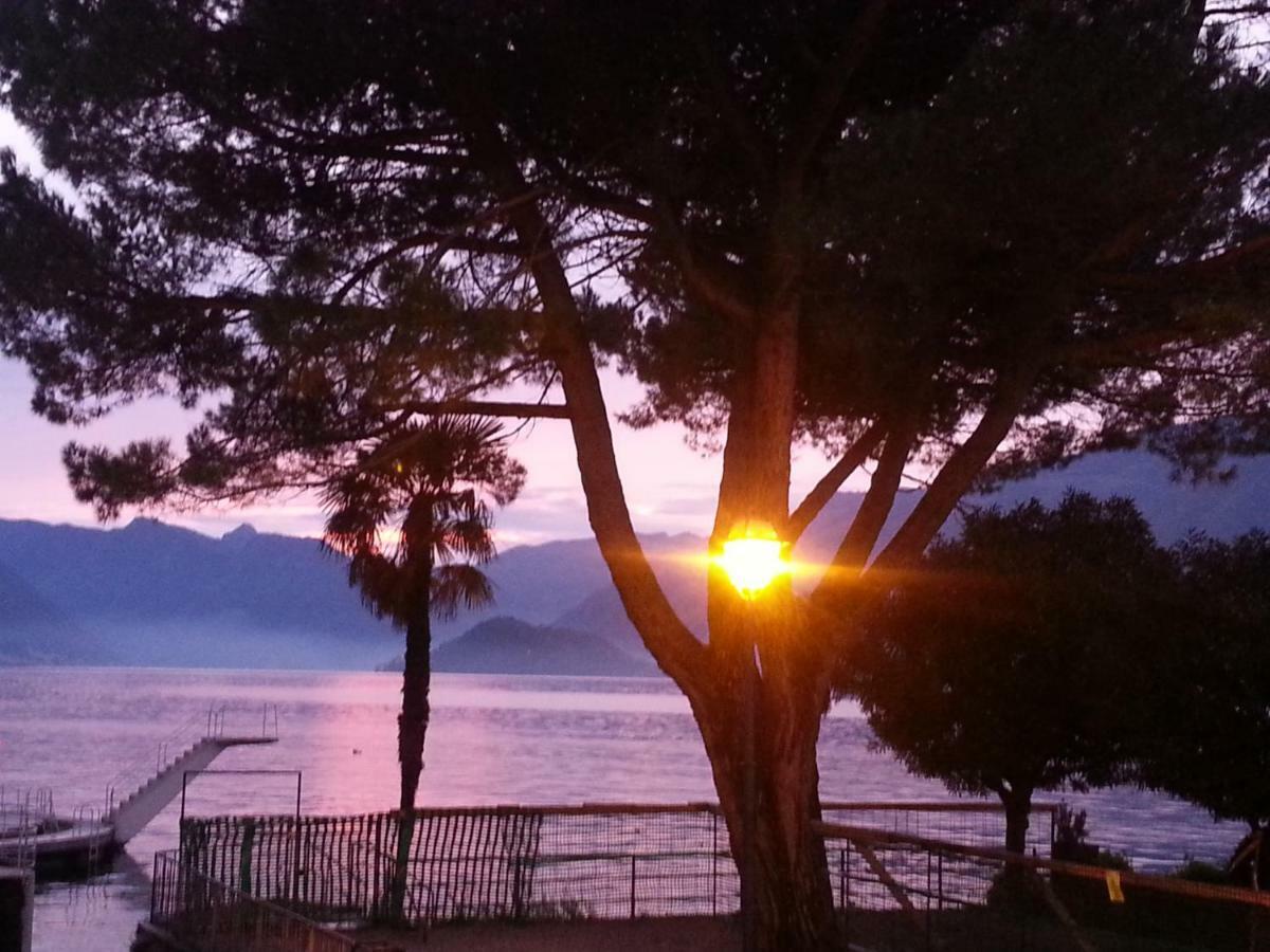 Apartment A Lago Private Beach And Parking Oliveto Lario Exteriör bild